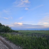 Большая Ганута