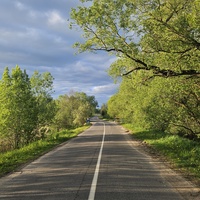 Большая Ганута