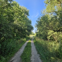 Большая Ганута