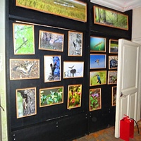 Краеведческий музей. Экспозиция «Природа родного края».