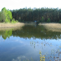 д.Черняны. Озеро в лесу (под Корнылом). Май 2011г.