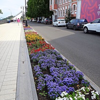 Рабатка (цветочная клумба) вдоль Верхне-Волжской набережной.