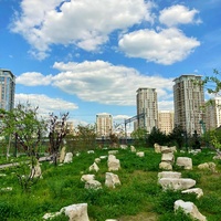 Китайский ландшафтный парк <<Хуамин>> - Сад камней