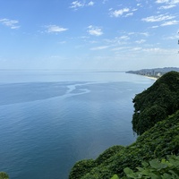 Ботанический сад Батуми. Вид на Черное море