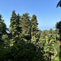 Ботанический сад Батуми