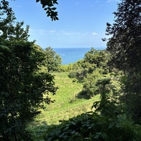 Ботанический сад Батуми