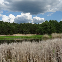 Экотропа "В краю вертлявой камышовки"