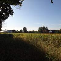 Михайловский