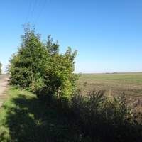 Поля в окрестностях посёлка