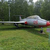 Самолёт Л-29 "Дельфин"