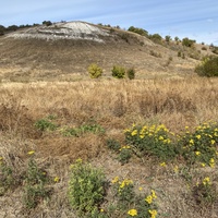 Место, где располагался хутор Шубинский