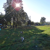 Колодец на улице Центральная.