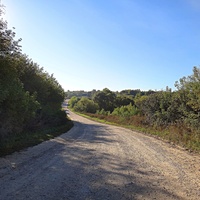 Центральная улица.