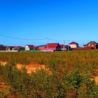 Посёлок Начало, окраина.