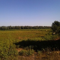 Село Килинчи, берег, окраина, природа.