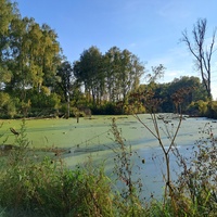 Пруд на северо-западе села