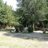 На территории детсада №5 по ул.Свободы,98. 31.08.2007г.