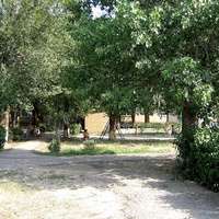 На территории детсада №5 по ул.Свободы,98. 31.08.2007г.