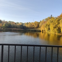 Парк Василе Александри.