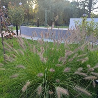 Парк Василе Александри.