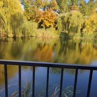 Парк Василе Александри.