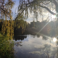 Парк Василе Александри.