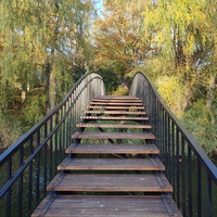 Парк Василе Александри.