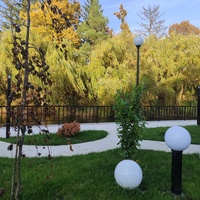 Парк Василе Александри.