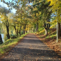 Парк Василе Александри.