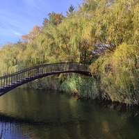 Парк Василе Александри.