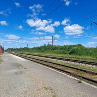 Стация Всесвятская