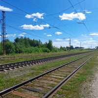 Стация Всесвятская