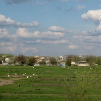 Вид с автополигона в направлении домов по ул.Шоссейной (западная окраина т.н.пл.Колхозной)
