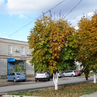 Мокроус. Улица Победы. Здание отделения Сбербанка.