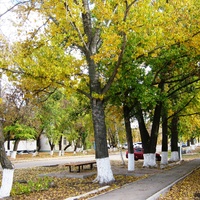 Мокроус. Улица Победы.