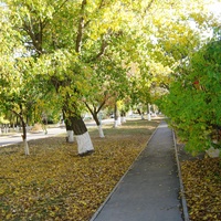 Мокроус. Улица Победы.