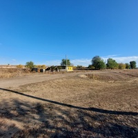 Аксазда вид