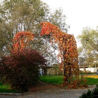 Арка в западной части Парка Воинской Славы.