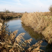 Вид на р.Мокрая Буйвола (на запад) с железного пешеходного моста у бывшего Казачьего рынка.