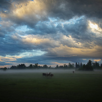 С.Каракокша, выпас за селом.