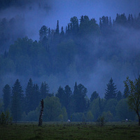 С.Каракокша. Туман.