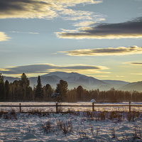 С.Каракокша. Питомник.
