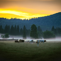 С.Каракокша. Вечер.