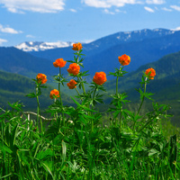 С. Каракокша. Малиновая горка. Огоньки.