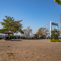Стамбул.  Парк Отагтепе (Otagtepe Park) один из общественных парков Стамбула, расположенный в азиатской части города, с видом на Босфор,  недалеко от моста султана Мехмеда Фатиха.