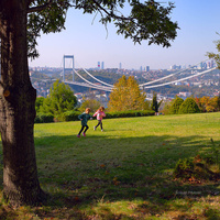 Стамбул.   Парк Отагтепе (Otagtepe Park) один из общественных парков Стамбула, расположенный в азиатской части города, с видом на Босфор,