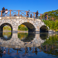 Стамбул.  Парк Отагтепе (Otagtepe Park) Оригинальный мост на пруду с черепашками...