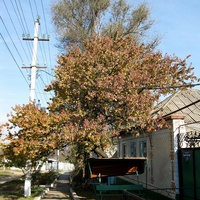 На пер.Пролетарском перед пересечением с ул.Суворова.