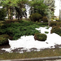 Участок сквера им.А.Джатдоева между ул.Дзержинского и Домом Правительства.