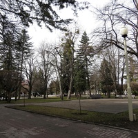 Участок сквера им.А.Джатдоева между ул.Артёма и Домом Правительства.